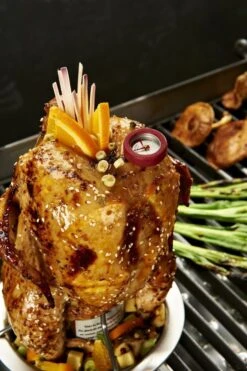 Asador De Pollos Con Termometro Broil King -Napoleonr Ventas Asador de Pollos con Termometro Broil King 2