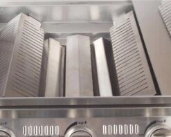 Barbacoa Signature Premium 6B -Napoleonr Ventas BarbacoaBeefeaterSignature premium 6 4