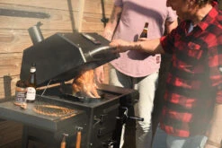 Barbacoa De Carbón Xenon -Napoleonr Ventas Barbacoa Carbon Xenon Grandhall 12