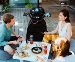 Outdoorchef Barbacoa Minichef Con Carro P-420 G -Napoleonr Ventas Barbacoa Minichef con Carro P 420 G 7