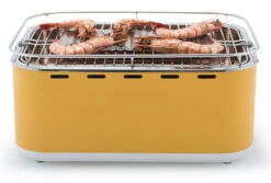 BARBECOOK Barbacoa Portátil Sin Humo Carlo -Napoleonr Ventas Barbacoa Portatil Sin Humo Carlo 9