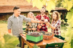 Barbacoa Portatil Sin Humo Teide Verde -Napoleonr Ventas Barbacoa Portatil Sin Humo Teide Verde 11