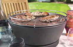 Barbacoa Portatil Sin Humo Vesubio Gris -Napoleonr Ventas Barbacoa Portatil Sin Humo Vesubio Gris 12