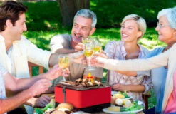 Barbacoa Portatil Sin Humo Vesubio Gris -Napoleonr Ventas Barbacoa Portatil Sin Humo Vesubio Gris 16