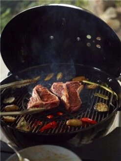 Weber Performer Original GBS 21 Weber Performer Original GBS -Napoleonr Ventas Barbacoa Weber Performer Original 11