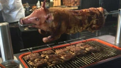 Barbacoa De Carbón Con Rustidor Hub -Napoleonr Ventas Barbacoa de Carbon con Rustidor Hub 44