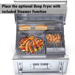 Freidora Y Parrilla De Vapor Sunstone -Napoleonr Ventas Freidora Parrilla Vapor Sunstone 6