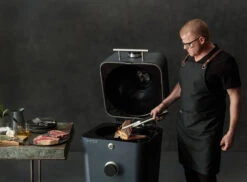 Kamado 4K Everdure -Napoleonr Ventas Kamado 4K Everdure 15