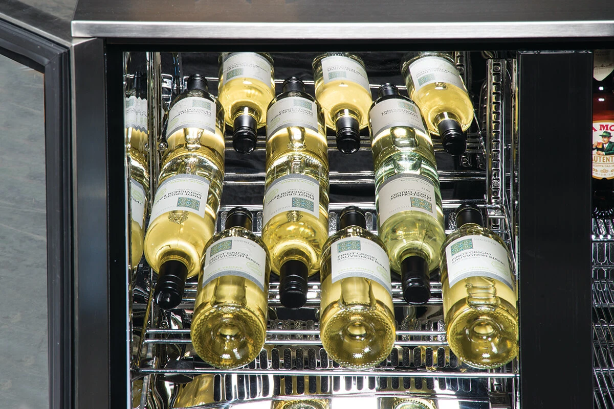 Nevera Para Exterior Napoleon 210 LT 3 Nevera Para Exterior Napoleon 210 LT - Imagen 3