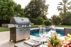 Napoleon Prestige 665 P665RSIBPSS Acero Inoxidable -Napoleonr Ventas Napoleon Prestige 665 P665RSIBPSS Acero Inoxidable 17