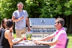 Napoleon Prestige 665 P665RSIBPSS Acero Inoxidable -Napoleonr Ventas Napoleon Prestige 665 P665RSIBPSS Acero Inoxidable 18