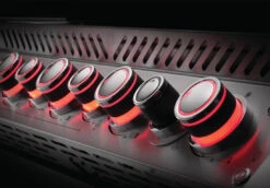 Napoleon Prestige Pro 665 Encastrar BIPRO665-3 27 Napoleon Prestige Pro 665 Encastrar BIPRO665-3 -Napoleonr Ventas Napoleon Prestige Pro 665 Encastrar BIPRO665 3 12