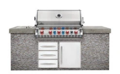 Napoleon Prestige Pro 665 Encastrar BIPRO665-3 24 Napoleon Prestige Pro 665 Encastrar BIPRO665-3 -Napoleonr Ventas Napoleon Prestige Pro 665 Encastrar BIPRO665 3 9