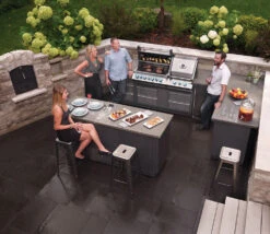 Napoleon Prestige Pro 825 Encastrar BIPRO825-3 -Napoleonr Ventas Napoleon Prestige Pro 825 Encastrar BIPRO825 3 13