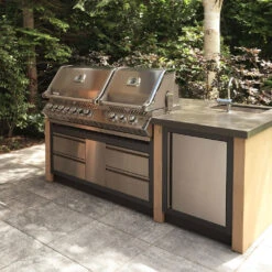 Napoleon Prestige Pro 825 Encastrar BIPRO825-3 -Napoleonr Ventas Napoleon Prestige Pro 825 Encastrar BIPRO825 3 14