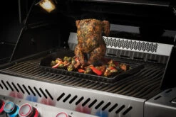 Plancha De Cerámica Con Soporte Para Pollo Napoleon -Napoleonr Ventas Plancha de Ceramica con Soporte para Pollo Napoleon 2