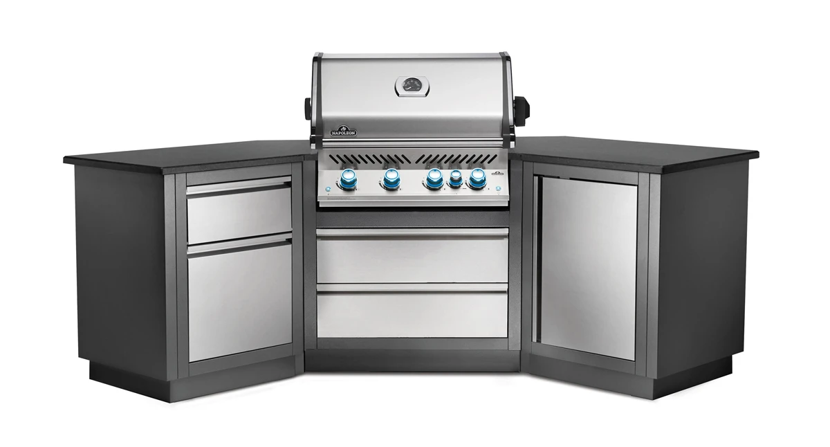 Napoleon Puerta Vertical Reverisble Módulo Cerrado Oasis 5 Napoleon Puerta Vertical Reverisble Módulo Cerrado Oasis - Imagen 5