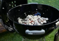 Set Chimenea De Encendido Weber -Napoleonr Ventas Set Chimenea de Encendido Weber 1013 c