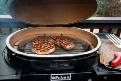 Set Parrillas GrillGrate Para Primo Oval XL -Napoleonr Ventas Set Parrillas para Primo Oval XL 3