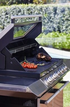 Signature S2000 C 5B -Napoleonr Ventas Signature S2000 C 5B 15