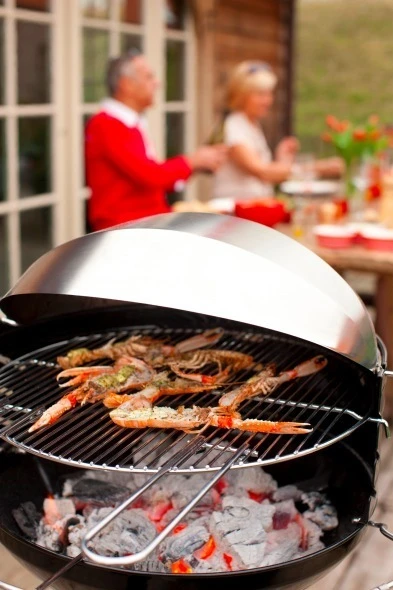 BARBECOOK Tapa Inox Para Barbacoas Optima Y Loewy 45 6 BARBECOOK Tapa Inox Para Barbacoas Optima Y Loewy 45 - Imagen 6