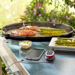 Termómetro Bluetooth IGrill Mini Weber -Napoleonr Ventas Termometro Bluetooth iGrill Mini weber 4