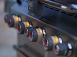 Barbacoa Weber Summit S-670 GBS Inox. -Napoleonr Ventas WEBER Graz 0216