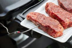 Weber Connect -Napoleonr Ventas Weber Connect 12