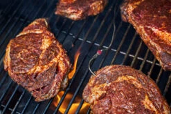 Weber Connect -Napoleonr Ventas Weber Connect 13