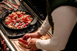 Weber Traveler Stealth -Napoleonr Ventas Weber Traveler Stealth 115