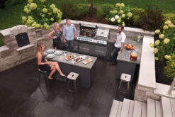 Módulo Oasis Quemador Lateral Napoleon Serie 700 De 10 Y 12 KW -Napoleonr Ventas oasis bipro825 lifestyle 2